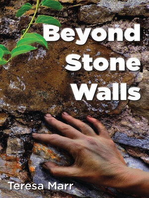 cover image of Beyond Stone Walls